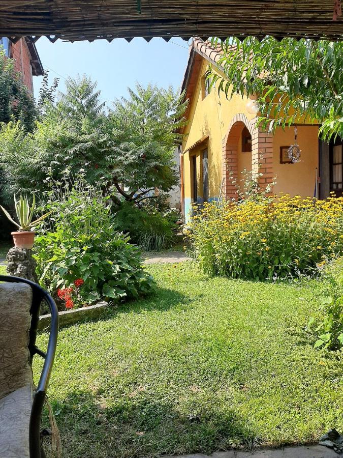 Garickina Kuca Lägenhet Pirot Exteriör bild